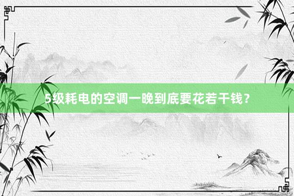 5级耗电的空调一晚到底要花若干钱？