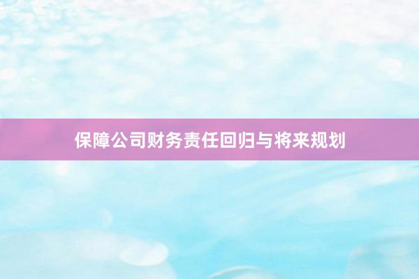 保障公司财务责任回归与将来规划