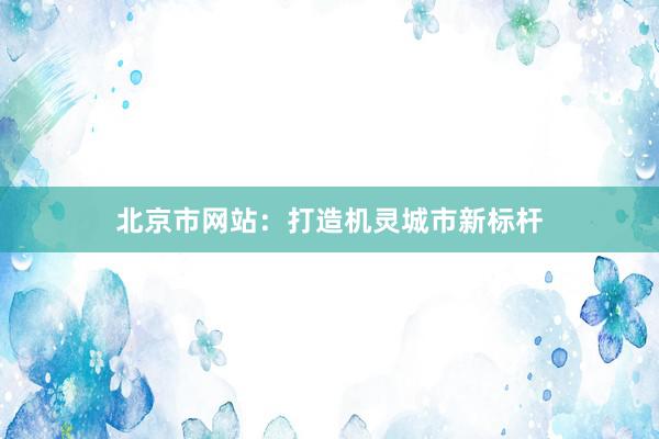 北京市网站：打造机灵城市新标杆